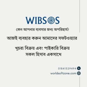 Read more about the article Why is WIBSOS essential for your business?